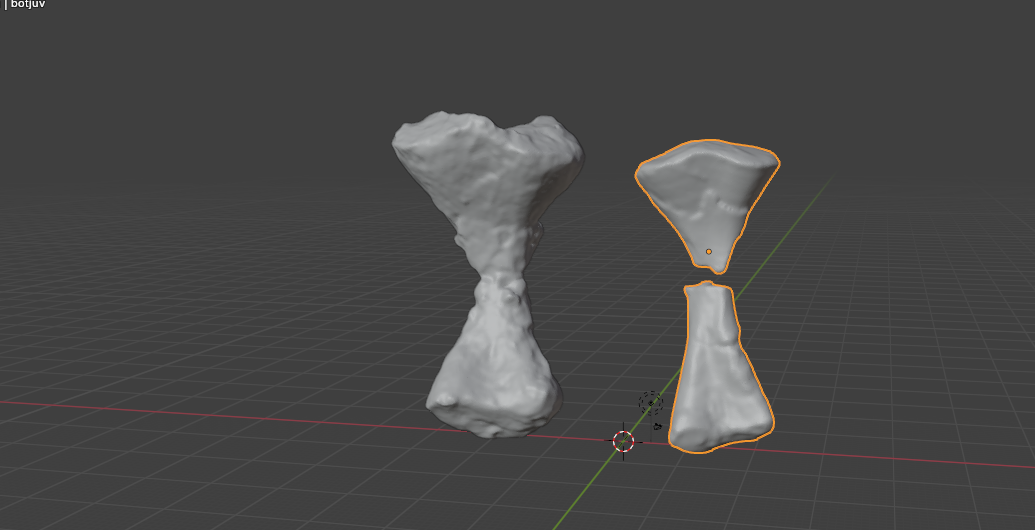 A 3d scan of a fossil on the computer screen